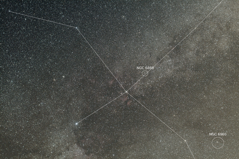 Cygnus