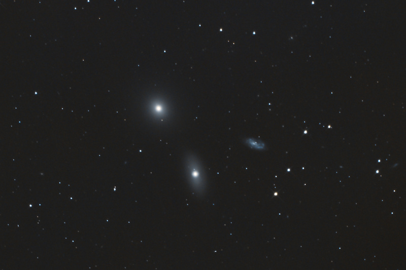M1