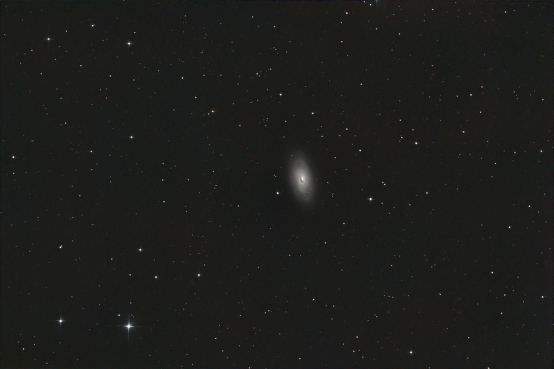 M64