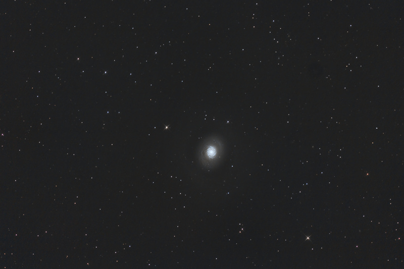 M1