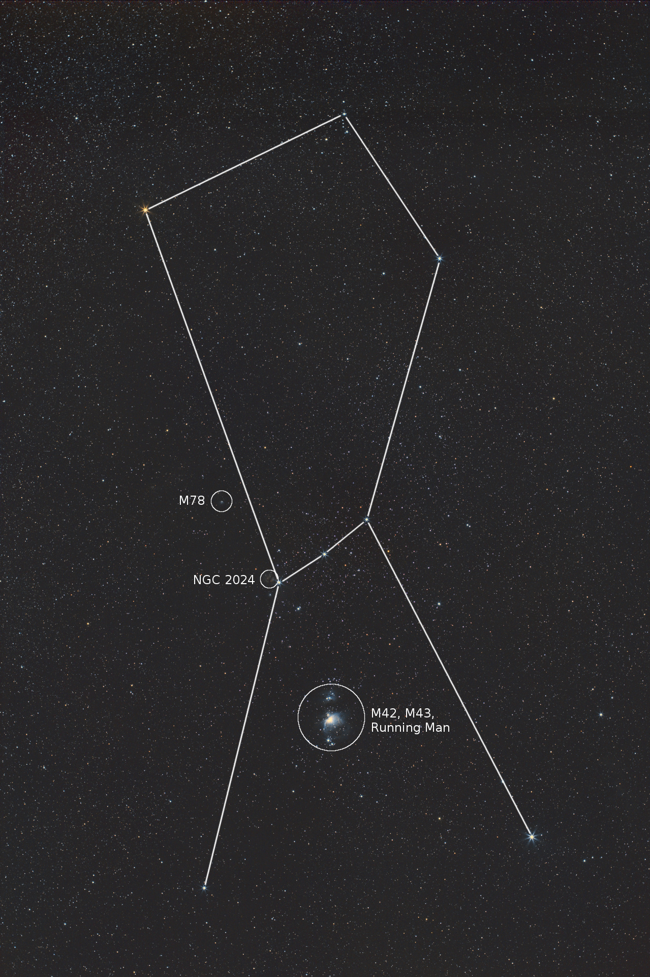 Orion