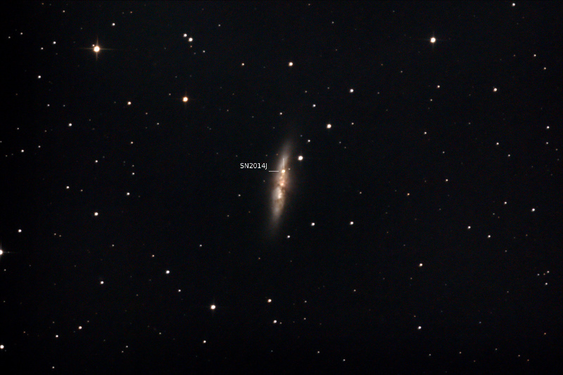 M82 mit SN2014J
